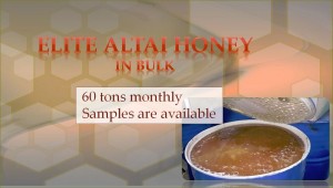 Elite Altai Honey in bulk