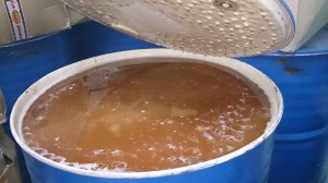 Honey for sale in bulk